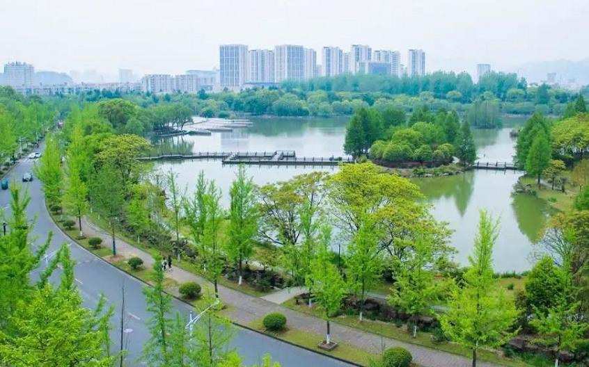 浙江农林大学经济学院怎么样,浙江农林大学农村发展