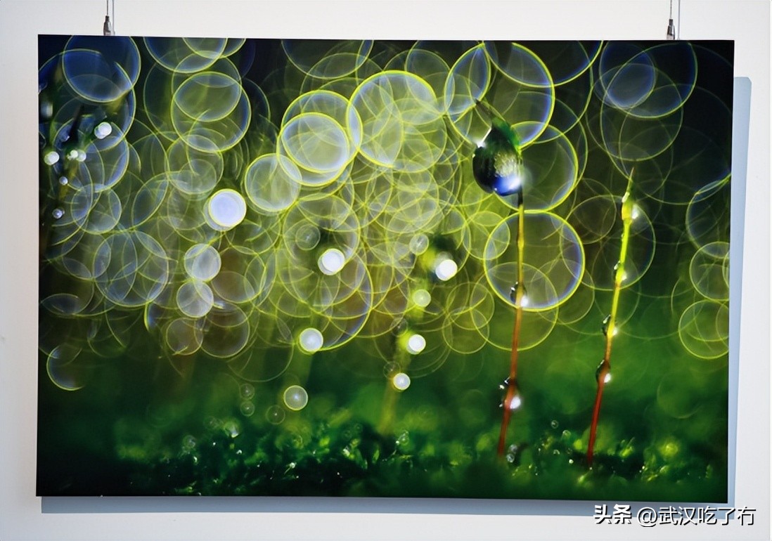 这里不仅是“武汉富人区”，更是江城楼宇经济翘楚！