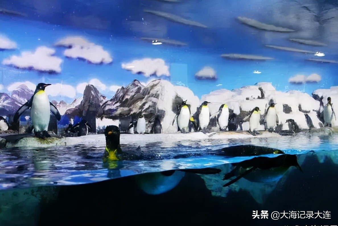 大连市区有哪些旅游景点值得去,大连中山区旅游景点排名一览表