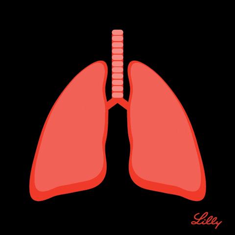 真心建议你们别用加湿器，除非做到这4点