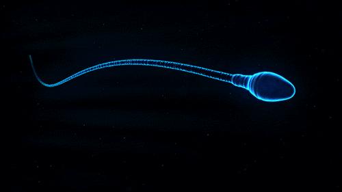 精液检查你所要知道的知识