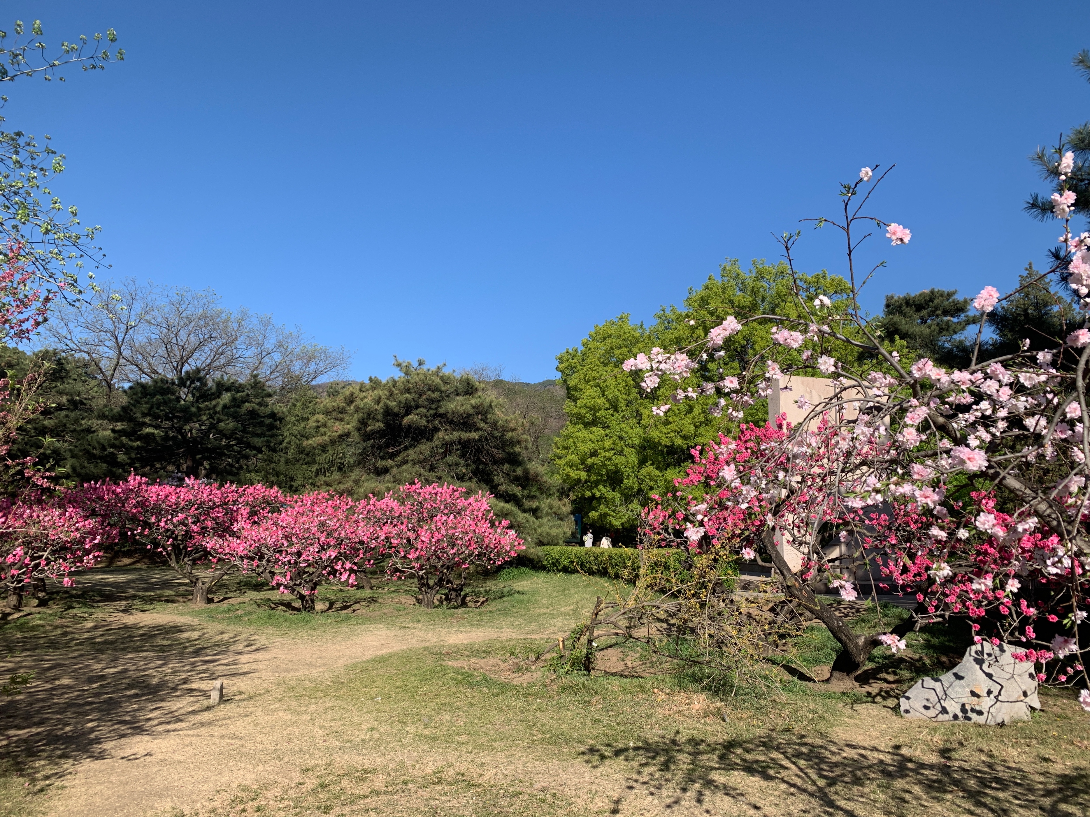土地增值税中的普通住宅标准,土地增值税清算对普通住宅的界定
