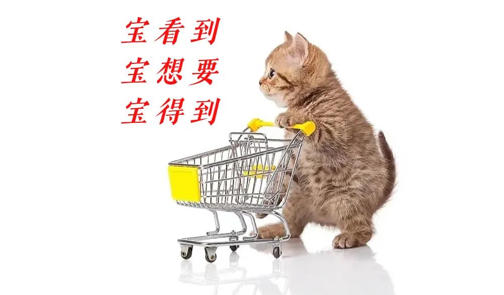 两癌检查能查出来宫颈癌吗,29岁宫颈癌筛查建议多久一次