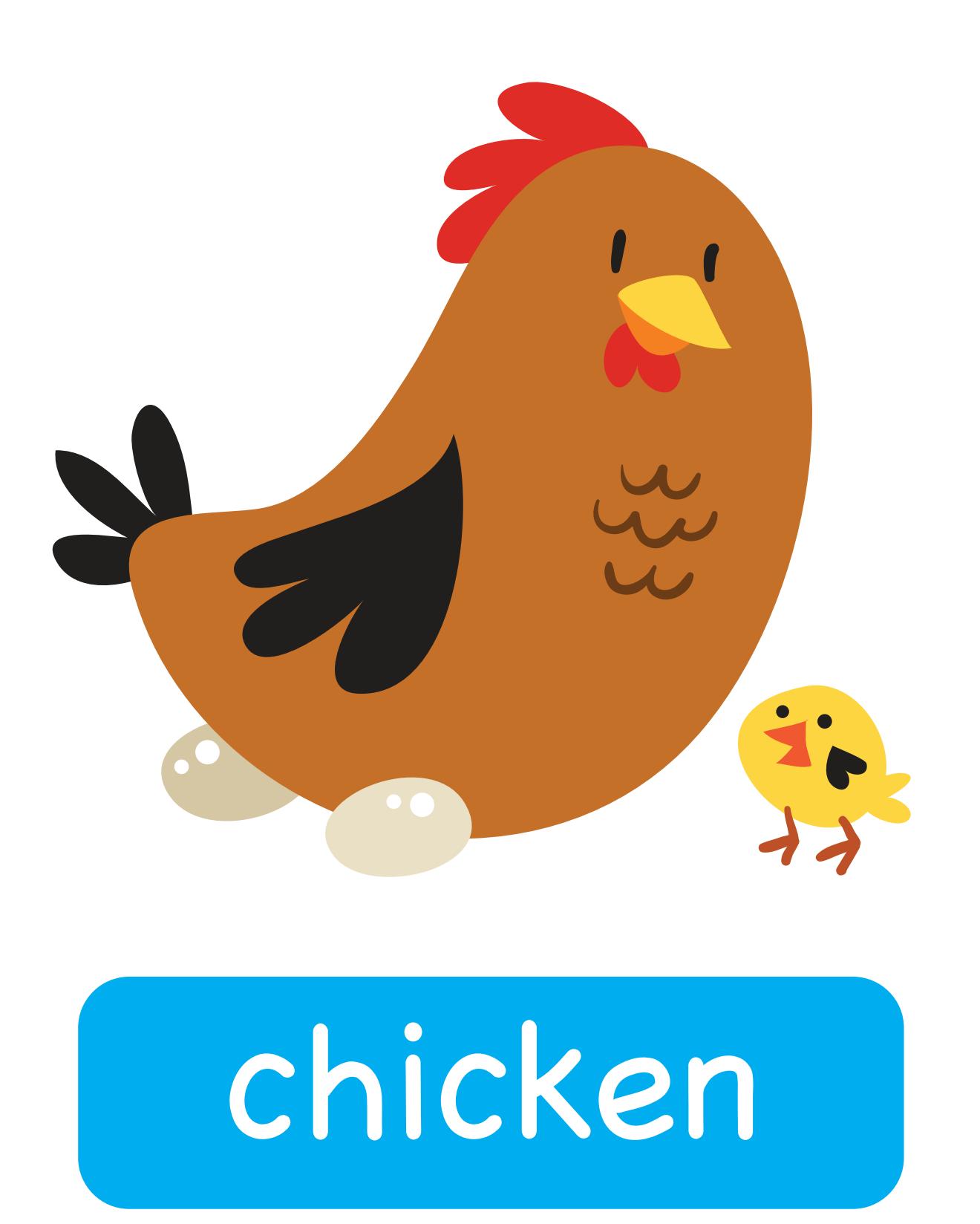 图说英语单词：高清动物类卡片，一图一单词