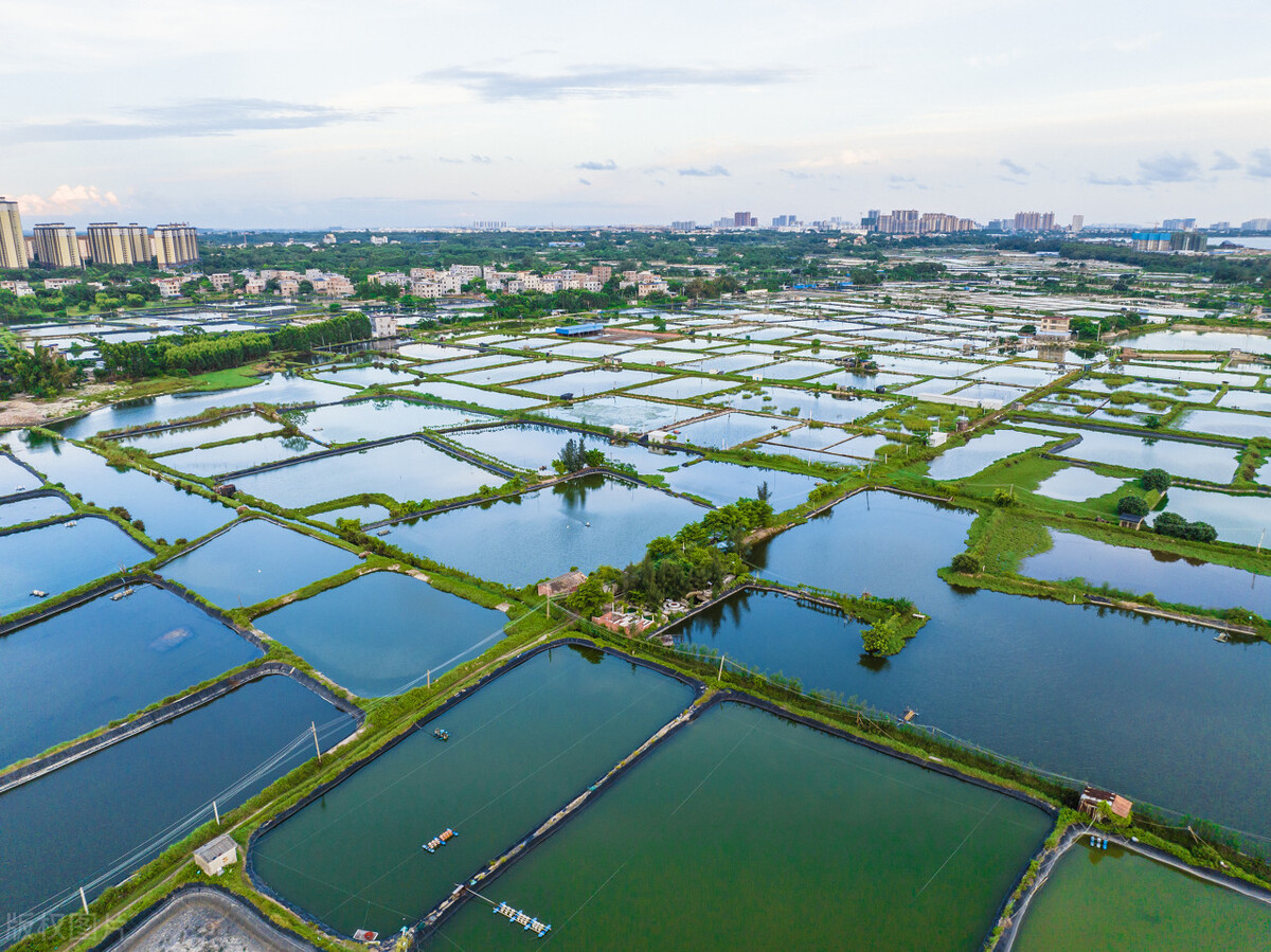 未来10大农村暴利种植,农村致富种养技术有哪些