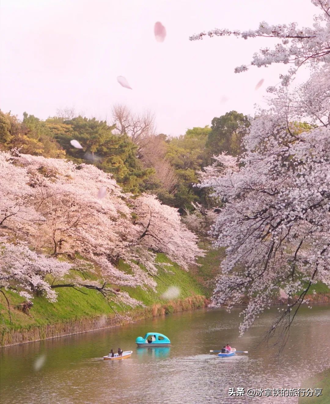 全球第八家宝格丽,最新的宝格丽酒店
