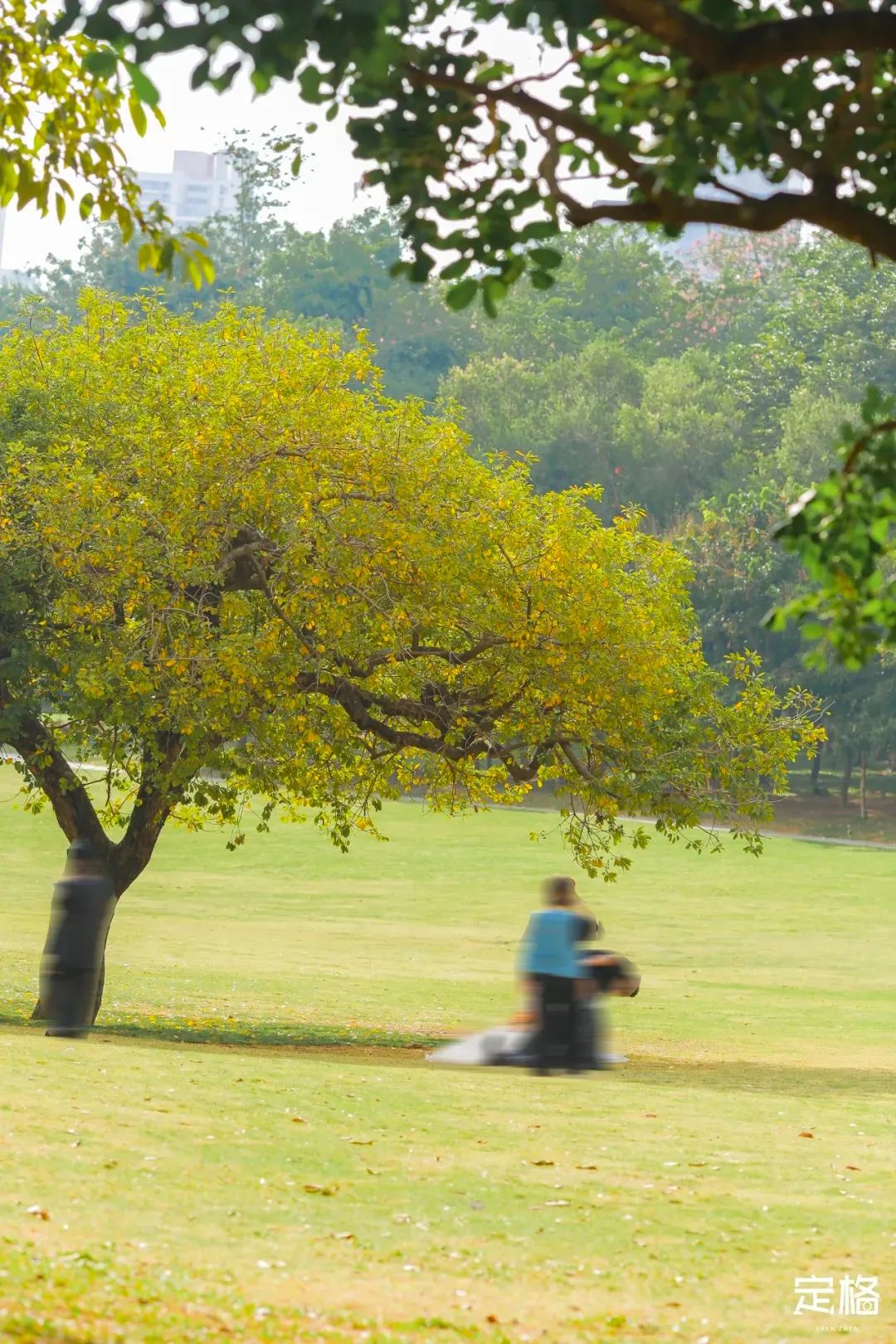 4号线值得逛的地方,16号线的游玩攻略