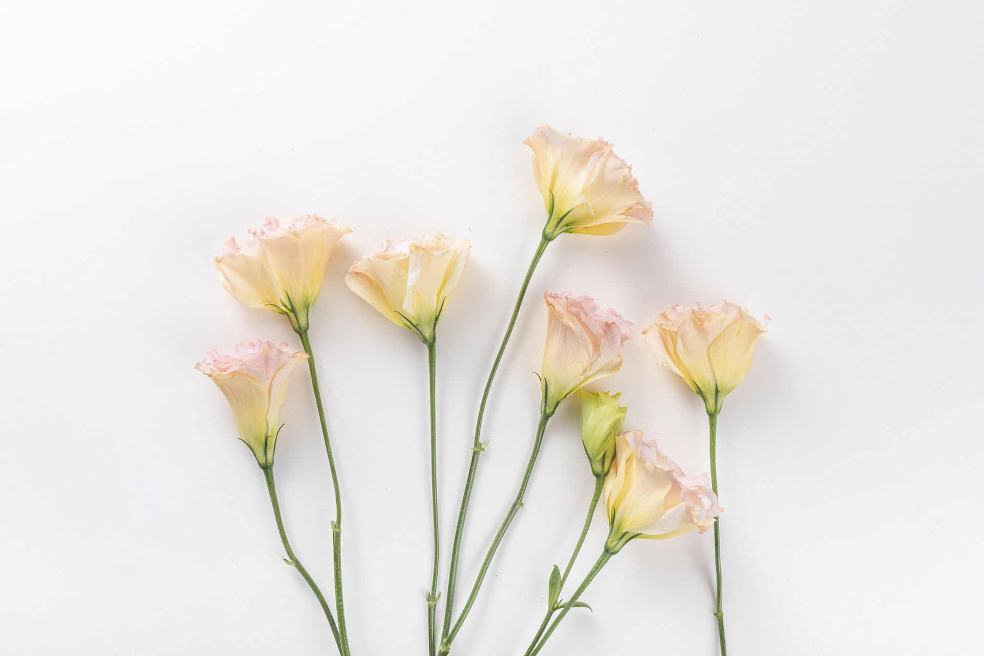 哪有真正的直男只是不够爱你罢了,世上哪有直男只是不够爱你