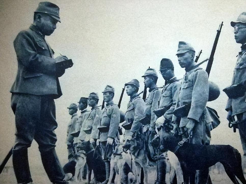 1939年日本狼狗部队,董翰良训练中国狼狗