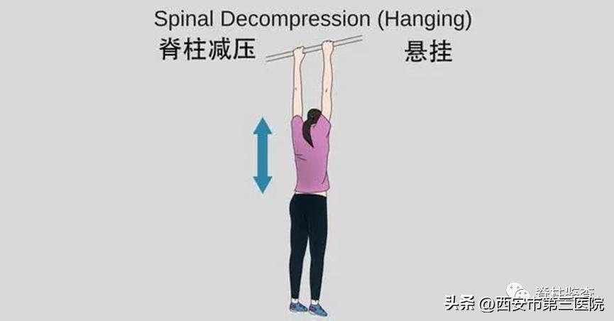 五分钟带你看懂腰椎间盘突出,腰椎间盘全面讲解及调理方法
