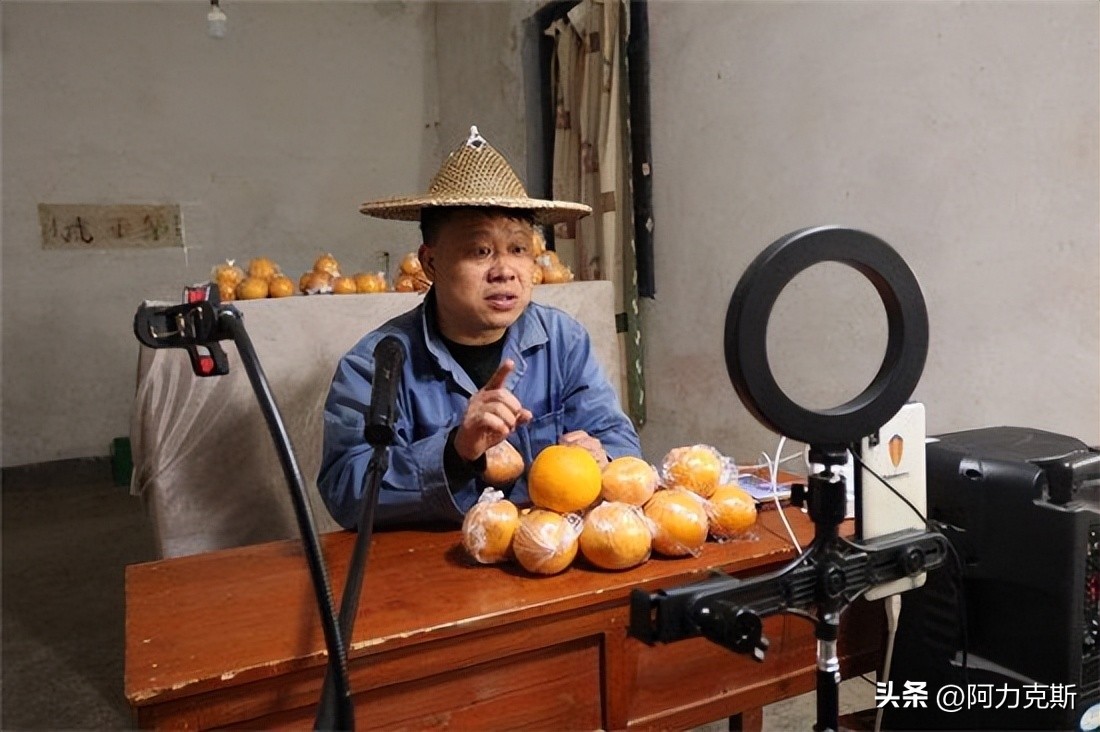 和土地和解,才会真正摆脱国民的劣根性