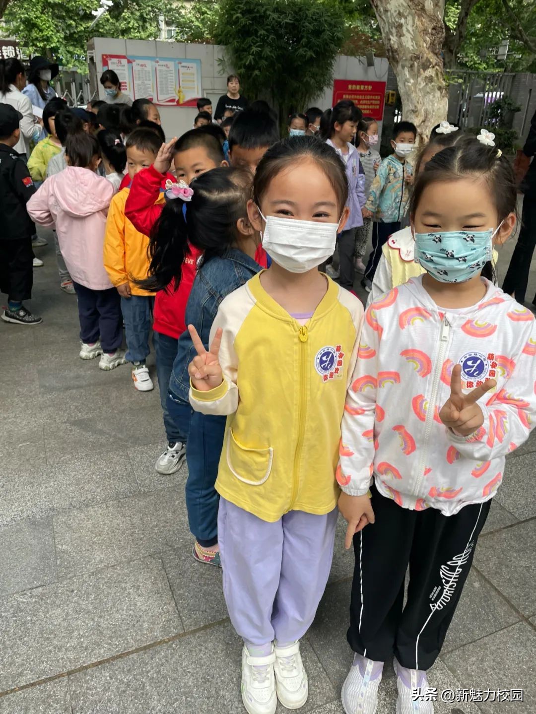 幼儿园大班参观小学活动,剑桥幼儿园参观小学活动