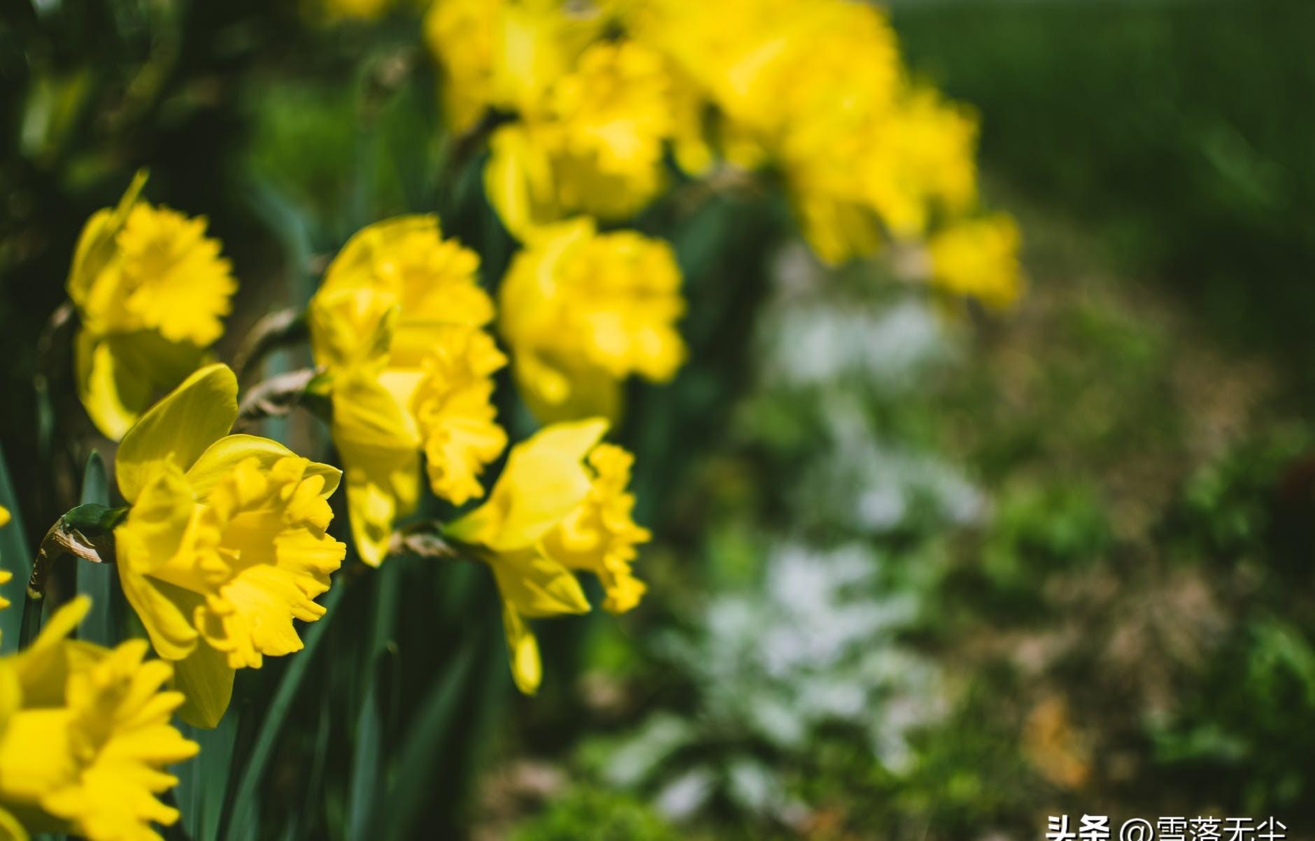 对待脾气暴躁的人怎么驯服,和脾气暴躁老公相处的驭夫术