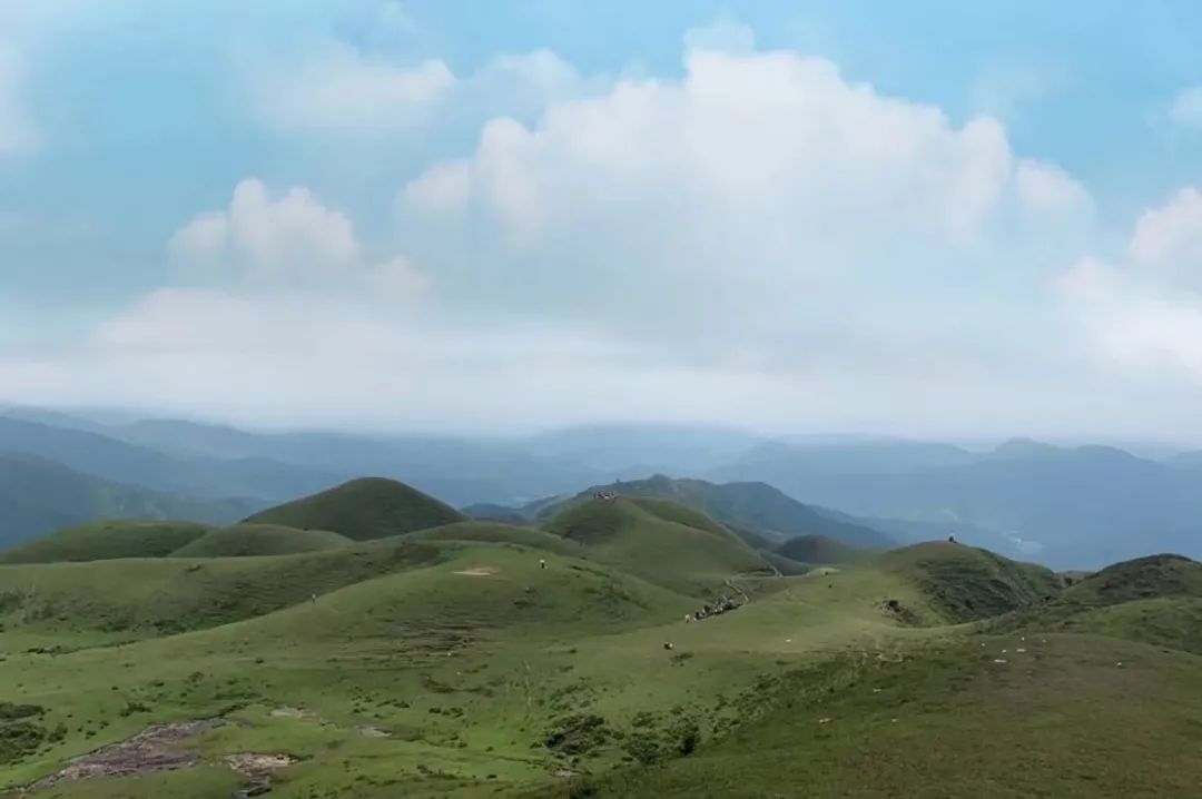 广东阳江幸福宜居之城,泸州最宜居的地方