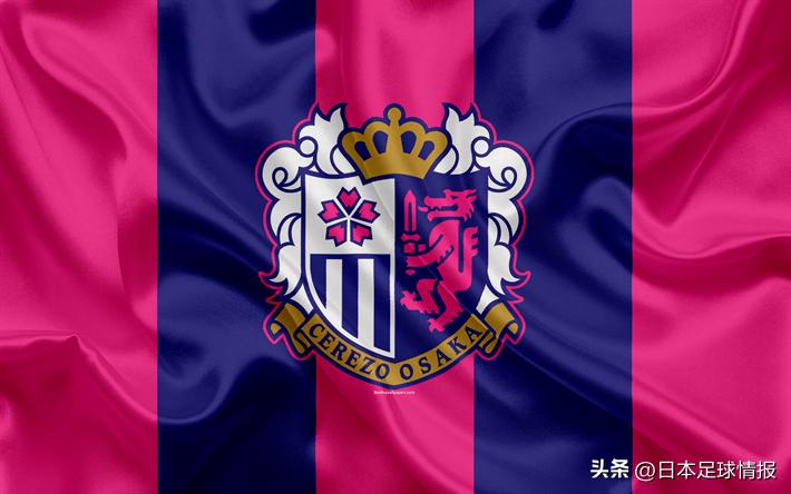 2024赛季日职联各队巡礼,今日日职联大阪樱花预测