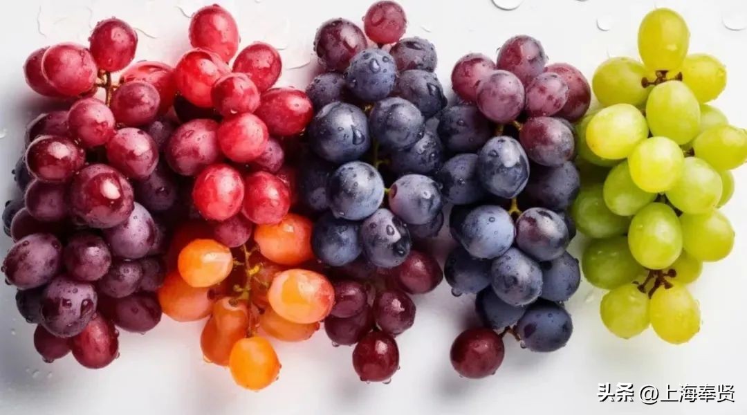 休憩一夏，趣味海湾