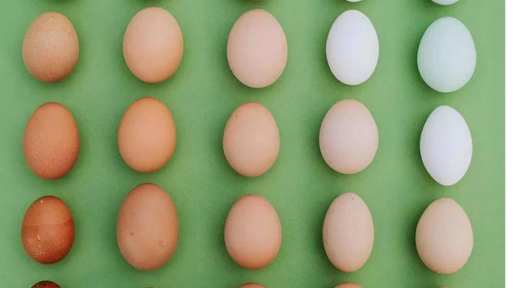 离离原上谱什么梗,离离原上谱是什么梗