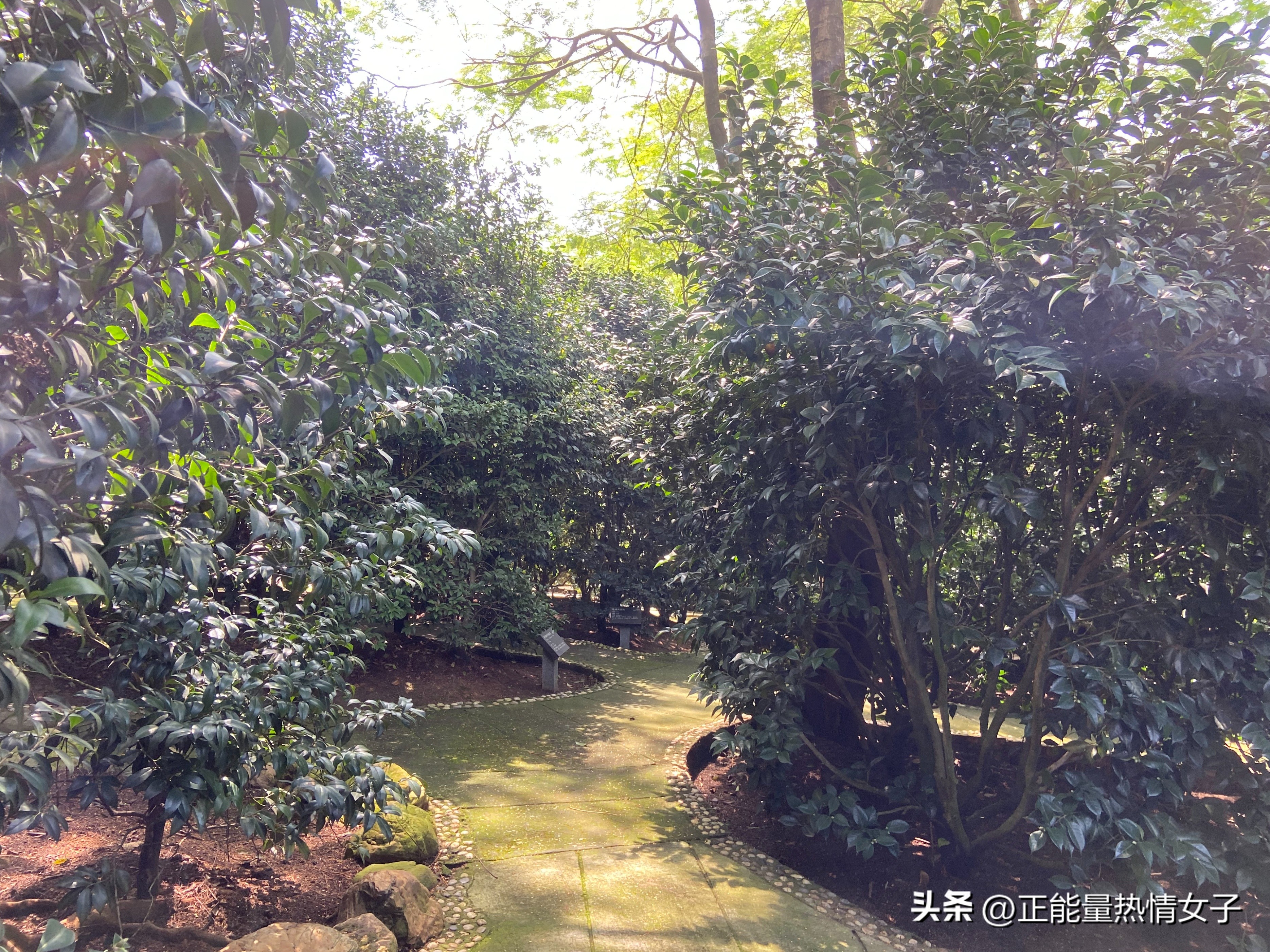 黄飞鸿故居一日游心得,黄飞鸿故里游玩攻略