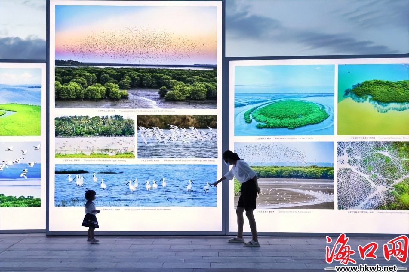 最美海口摄影,发现海口之美摄影家采风活动