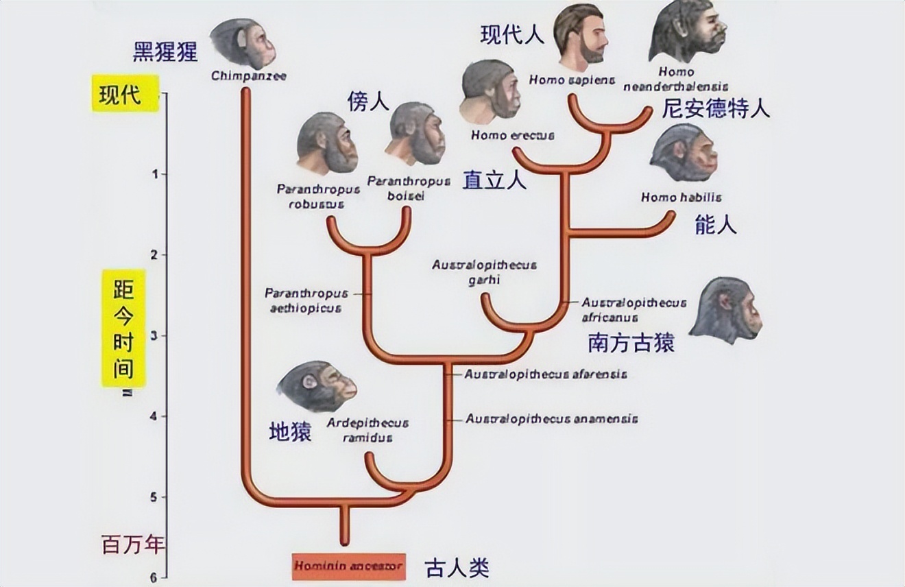 上帝后花园瑞士,上帝后花园新西兰