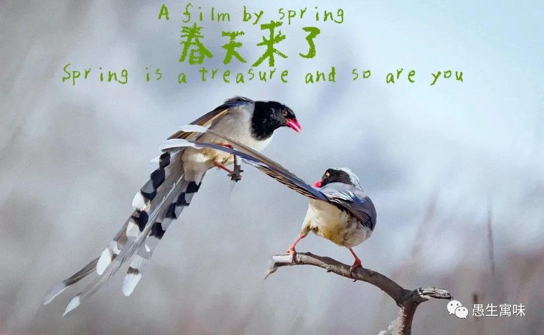 描写仲春的古诗,仲春郊外古诗加拼音视频