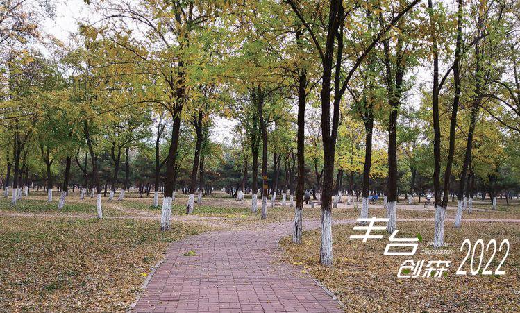 【FENG景】创森动态|天元公园——天圆地方，林间休闲