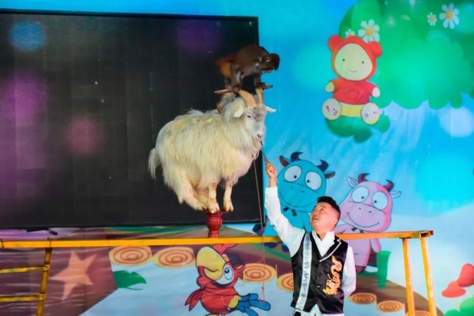 过年买给小朋友的零食礼物,致小朋友的一份礼物请查收