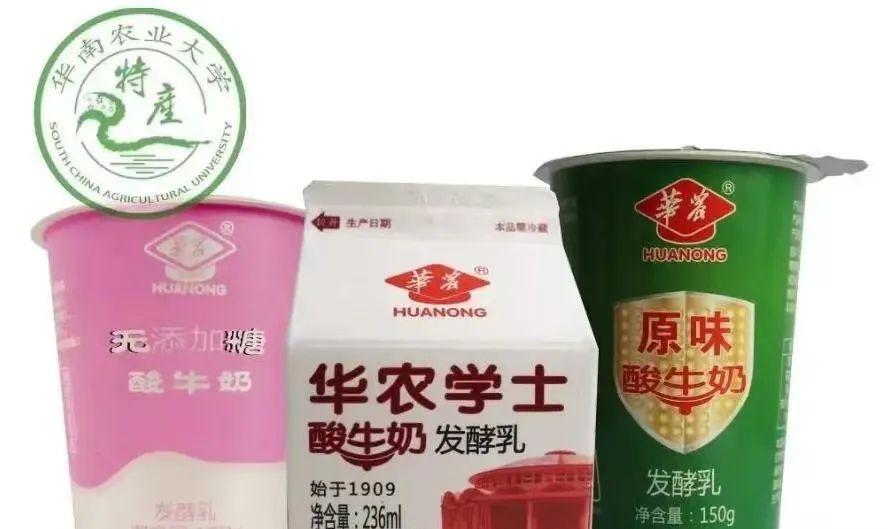 农科院美食魔芋,魔芋玉米烧鸡