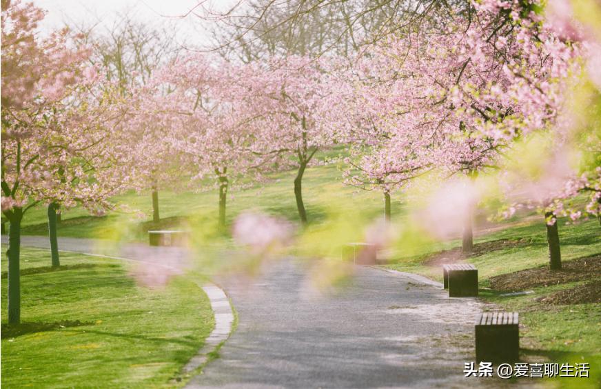 春季补脾吃什么食物好,春天吃甘甜食物有哪些