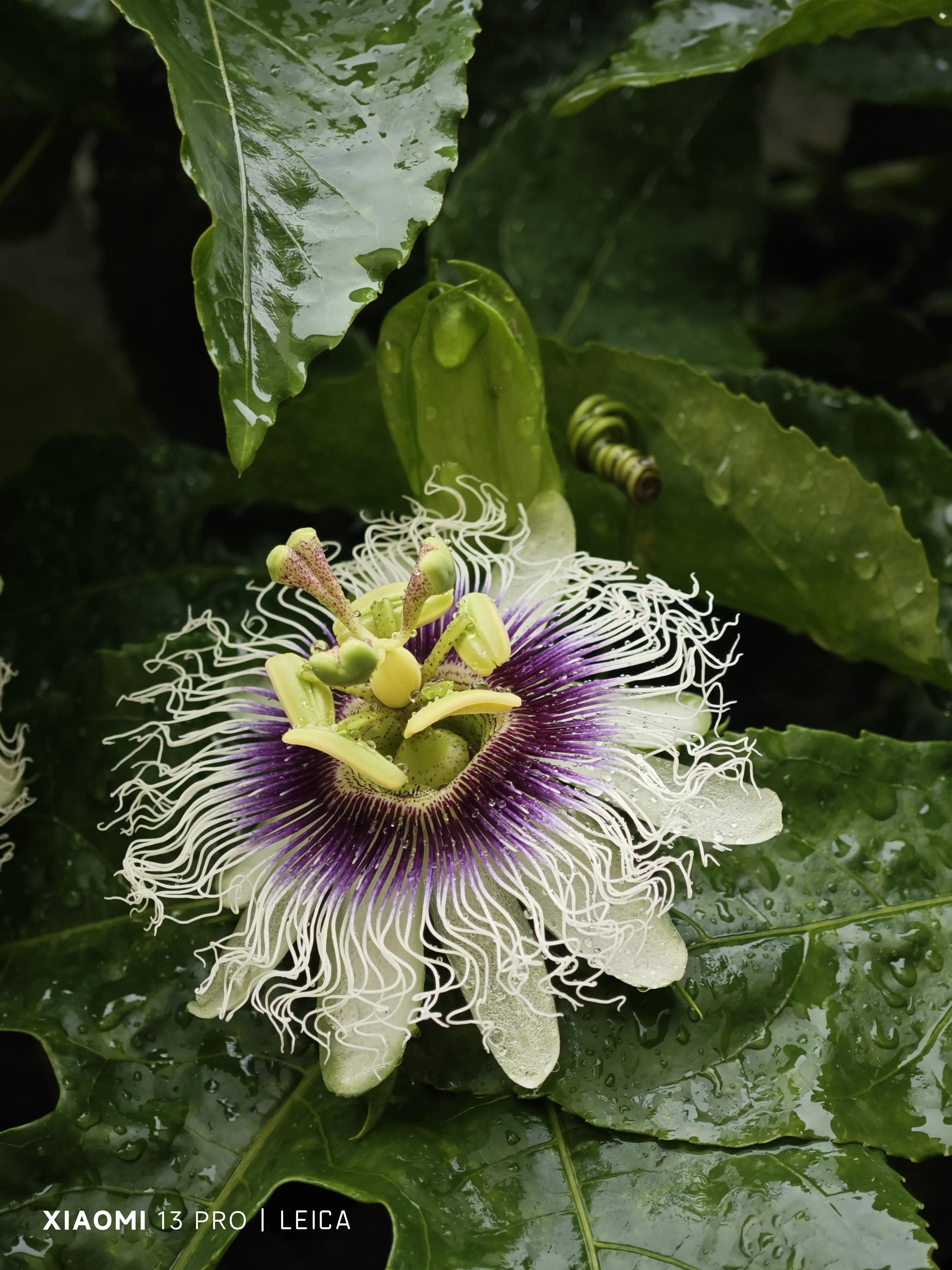 夏天的多巴胺是什么,夏天的多巴胺穿搭是什么