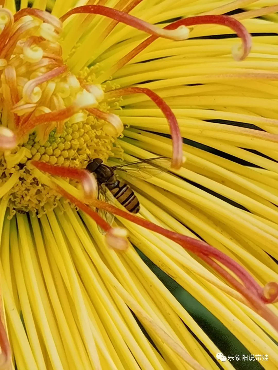时间都去哪儿了小品完整版,时间都去哪儿了感悟