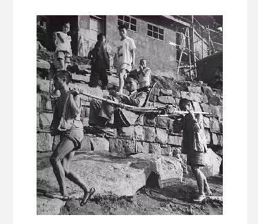 重庆交通违法举报进度查询,重庆交通违法自助处理