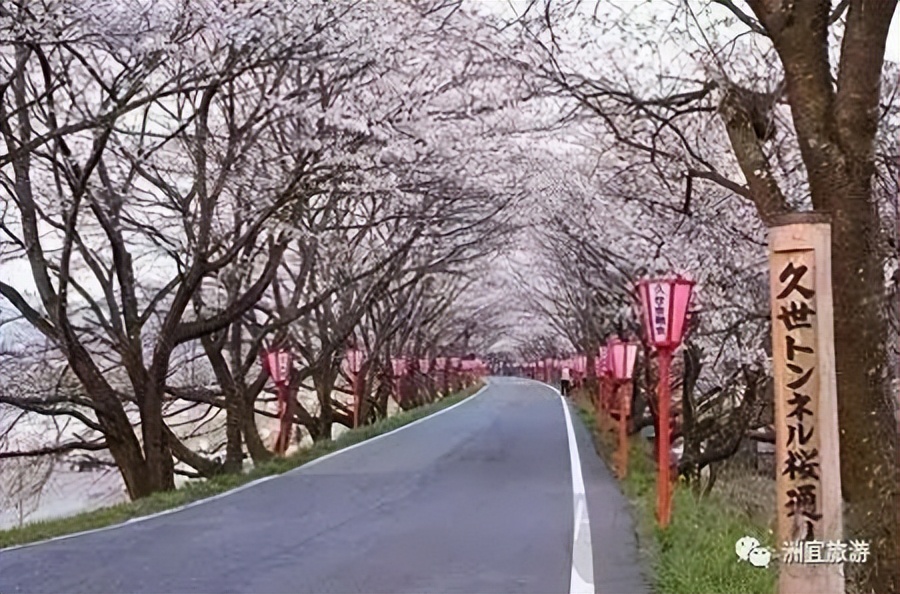 2023年日本工作签证政策,日本工作签证申请办理流程攻略