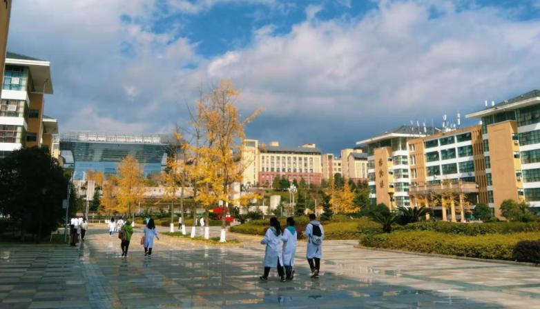 分数不高想学计算机院校推荐,临床医学专业最好的几所学校