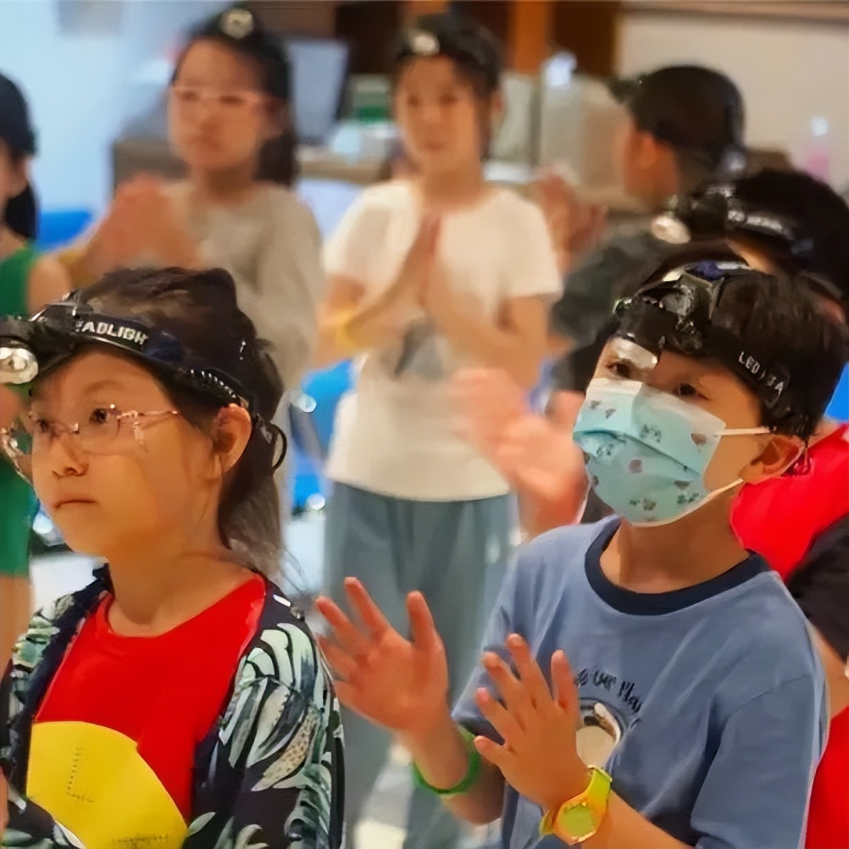 上海沉浸式夜游公园,上海森林公园夜游