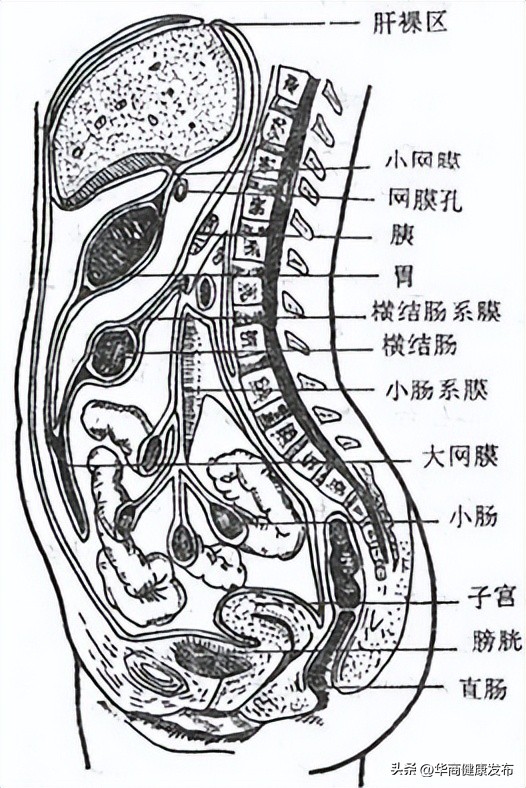 孕妇憋一次尿有什么危害,孕妇突然憋一次尿会怎么样