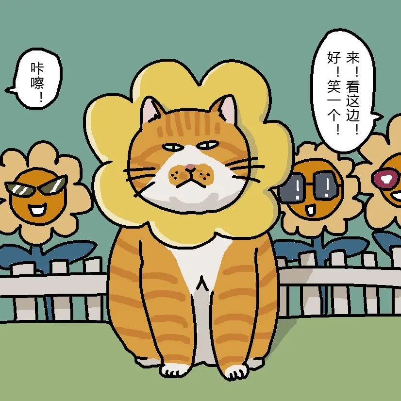 再见了，项圈，再也不见！