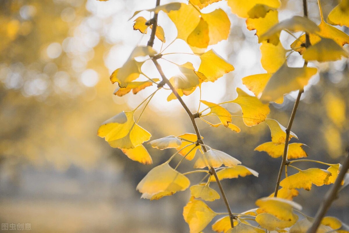 如何挖掘美育价值作文,以美育为话题的作文素材摘抄