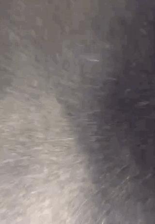 为什么家里毛絮很多如何处理,家中毛絮频频出现