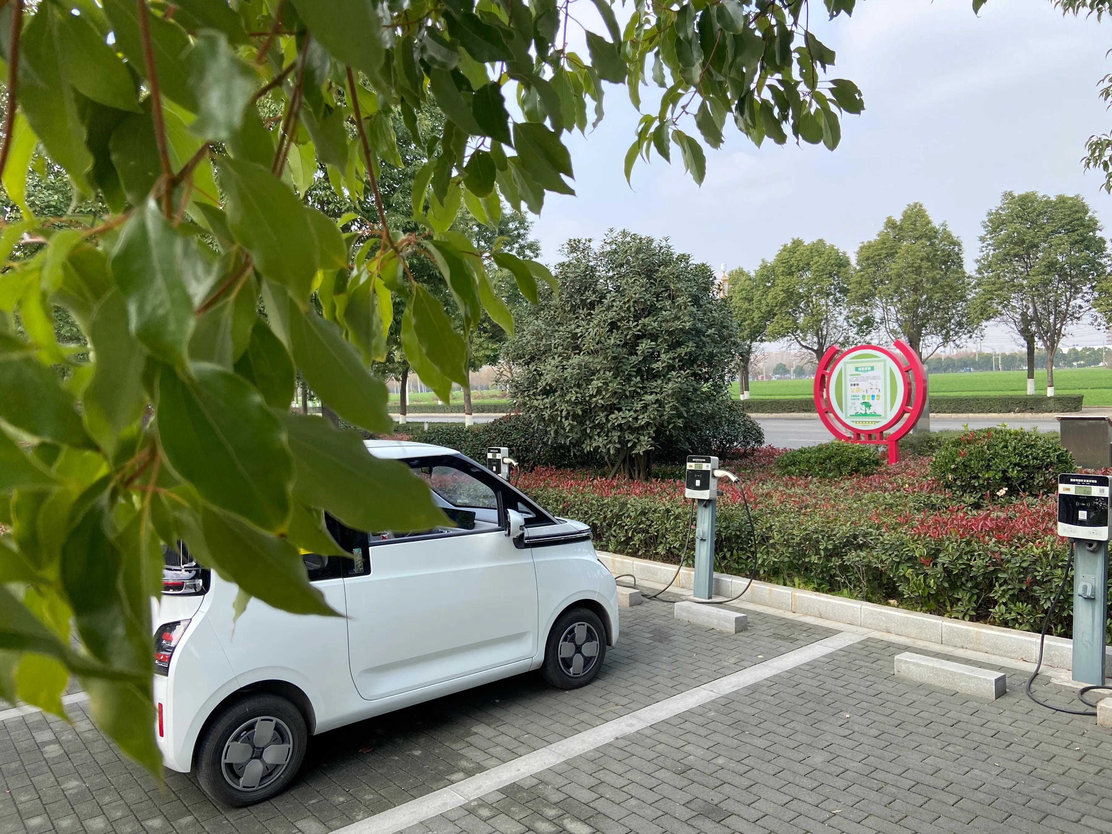 陪闺蜜打卡日料店,我的闺蜜我来宠