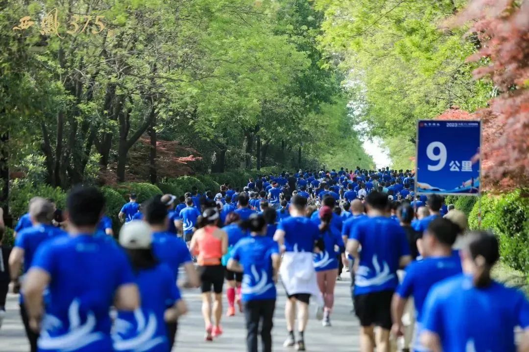 从大明宫到大酒海,西凤375酒经销商大会跨越千年的沉浸式体验