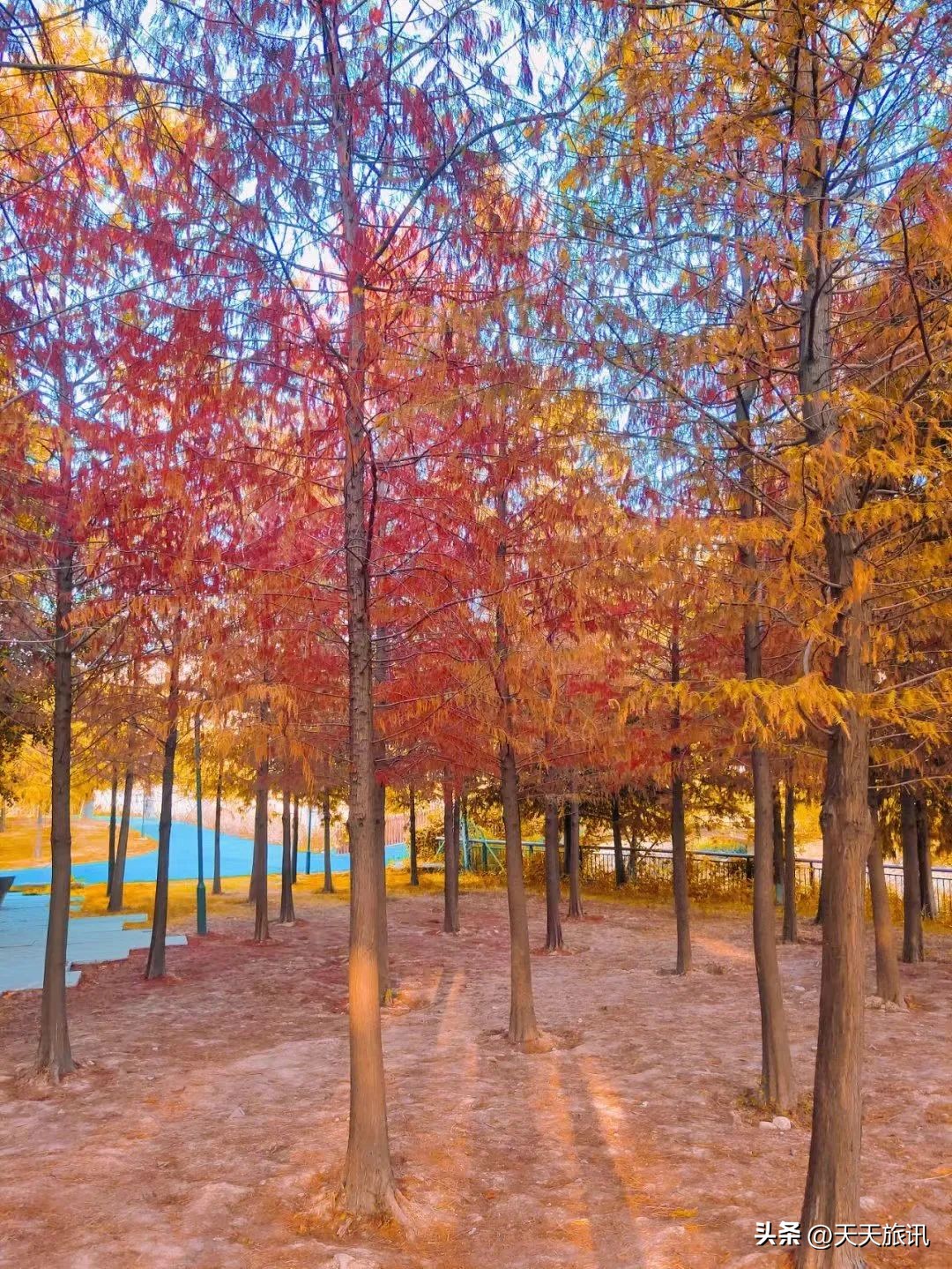 坐地铁看海,坐着地铁去看海南京