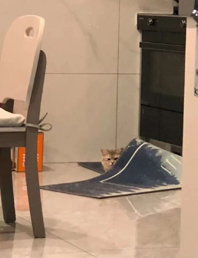 快乐源泉高能瞬间,快乐源泉8693