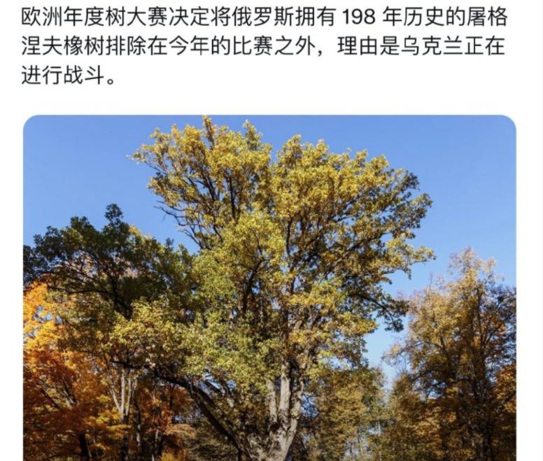 魔怔！欧洲十大反俄奇闻：组织黑人联谊乌女孩逼俄选手骂本国总统