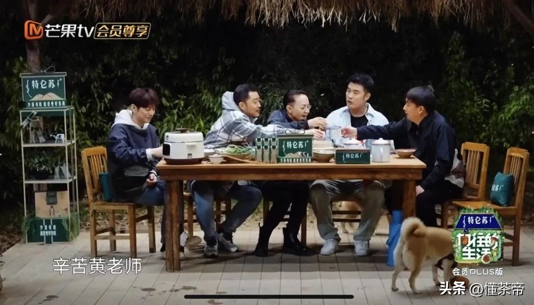 向往的生活柴米油盐,向往的生活推荐的茶