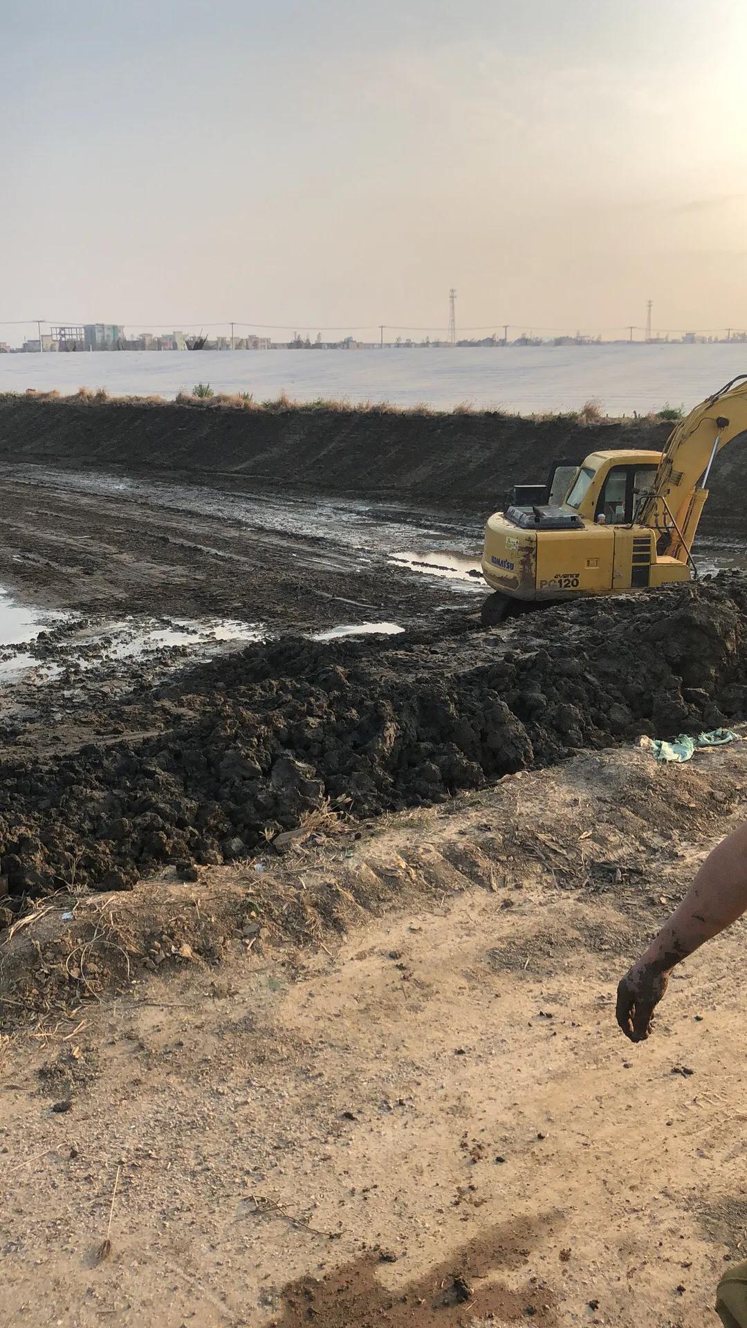 南美白对虾养殖全流程图解,南美白对虾养殖条件和方法图