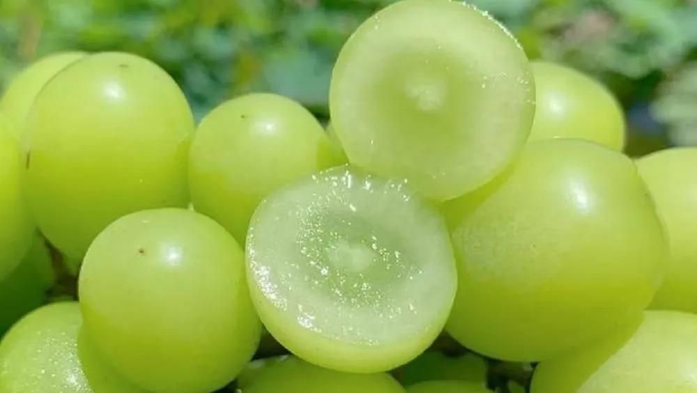 开水果店有什么办法保鲜,开水果店水果怎么储存