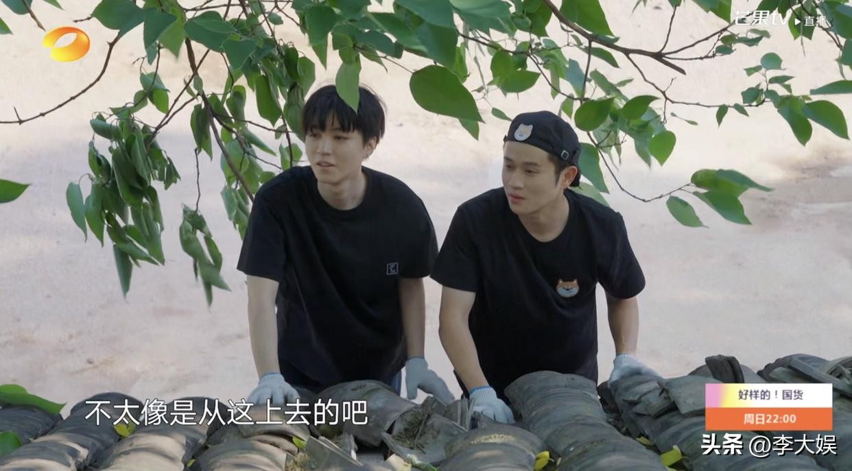 向往的生活7王俊凯就参加一期吗,向往的生活7有王俊凯吗