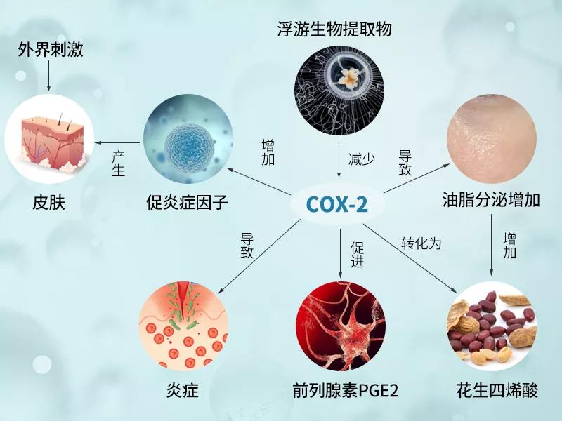 泥膜用多了屏障受损,护肤品推荐泥膜