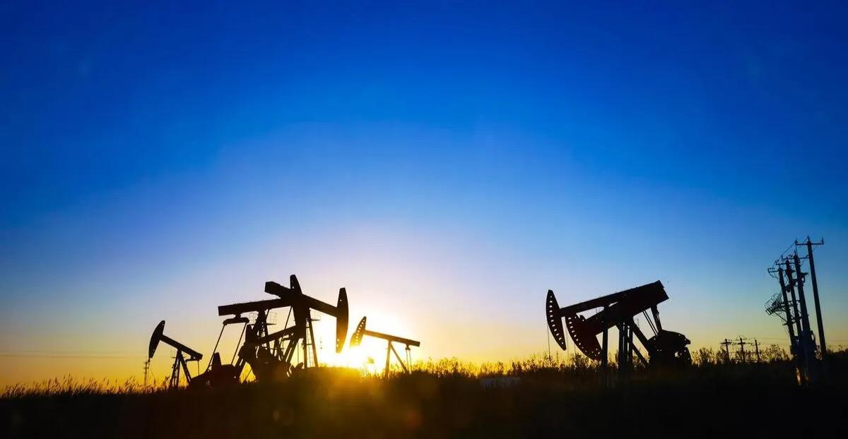 林园辞职炒股,林园炒股从500元到200亿